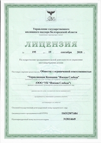 лицензия (1)